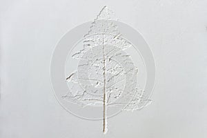 Silhouette of tree leaf printed on white powder