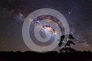 Silhouette of Tree and Milky Way. Long exposure photograph