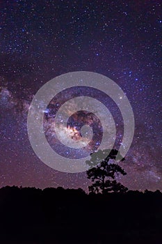 Silhouette of Tree and Milky Way. Long exposure photograph