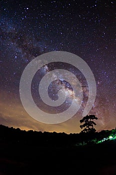 Silhouette of Tree and Milky Way. Long exposure photograph