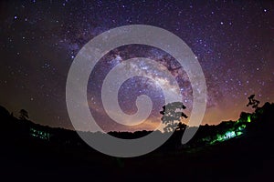 Silhouette of Tree and Milky Way. Long exposure photograph