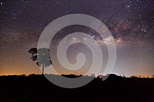 Silhouette of Tree and Milky Way. Long exposure photograph