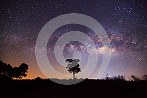 Silhouette of Tree and Milky Way. Long exposure photograph