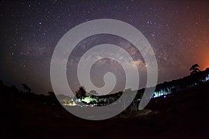 Silhouette of Tree and Milky Way. Long exposure photograph