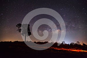 Silhouette of Tree and Milky Way, Long exposure photograph,with