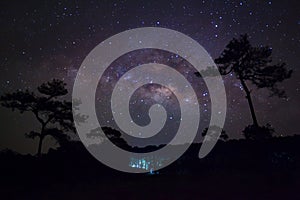 Silhouette of Tree and Milky Way, Long exposure photograph,with grain