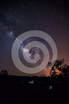 Silhouette of Tree and Milky Way. Long exposure photograph.with grain