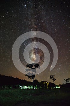 Silhouette of tree and milky way, Long exposure photograph, with grain