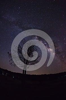 Silhouette of Tree and Milky Way. Long exposure photograph.With grain