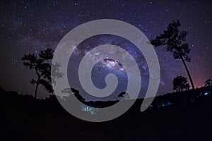 Silhouette of Tree and Milky Way. Long exposure photograph.With grain