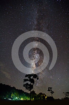 Silhouette of Tree and Milky Way Phu Hin Rong Kla National Park,Phitsanulok Thailand