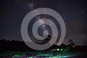 Silhouette of Tree and Milky Way at Phu Hin Rong Kla National Park,Phitsanulok Thailand. Long exposure photograph