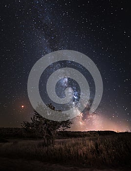 Silhouette of Tree with natural landscape and Milky Way galaxy. photo