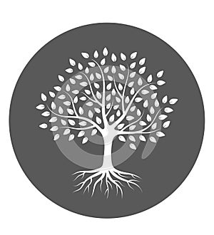 Silhouette of a tree with roots and leaves in circle. Vector illustration logo.