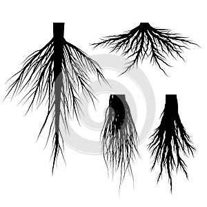 Silhouette Tree Roots Vector set.