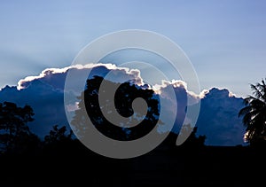 Silhouette of tree and sky with cloud in Evening time