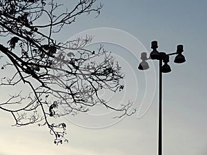Silhouette tree and street light post against blue sky