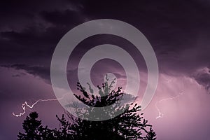 Silhouette of a tree top on a thunderstorm background