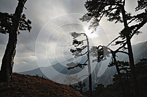 Silhouette of trees against mountainside and cloudy sky.