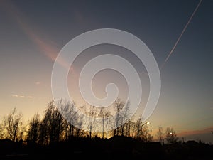 silhouette of trees on a colorfull sky