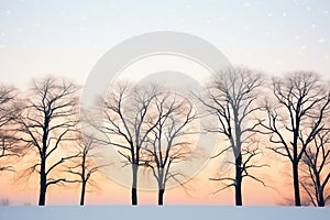 silhouette of trees at dawn with snow