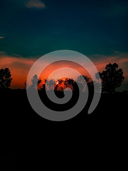 silhouette trees on field against sky at sunset