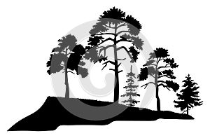 Silhouette of trees with leaves isilated on white background. Tall tree thick trunk on the mountaine