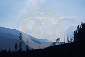 Silhouette of trees and mountains, panoramic photo, real photo