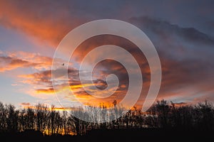 Silhouette of a trees in a park and stunning sunrise cloudy sky with rich, saturated colors. Warm orange and cool blue tone