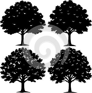 Silhouette Trees Set