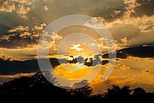 Silhouette of Trees with Sky and Cloud on Sunset