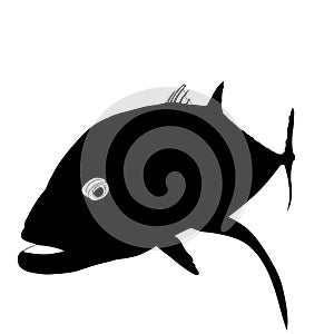 A silhouette of a trevally fish
