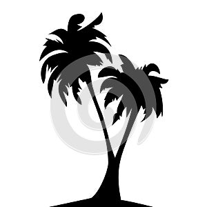 Silhouette of a tropical palm tree.