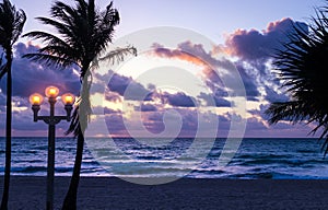 Silhouette Tropical Palm Trees At Sunrise in Hollywood Florida beach photo