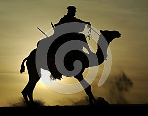 Silhouette of Tuareg rider and camel rising photo