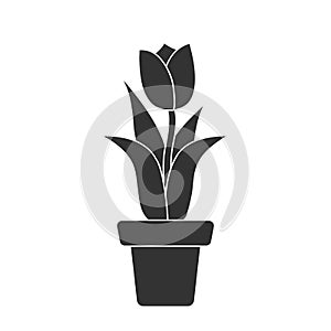 Silhouette of a Tulip in a flower pot, simple design