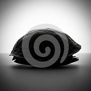 The background is plain, emphasizing the shell s texture and shape