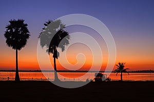 Silhouette of twin palm tree againts coloful sky