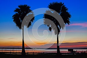 A silhouette of twin palm tree with background beautiful of sunset