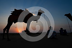 Silhouette of two cameleers and their camels at sand dunes of Thar desert