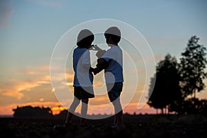 Silhouette of two children, boy brothers, making heart shape wit