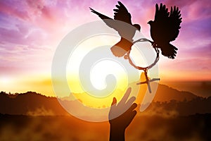 Silhouette of Two helping hand desire to two dove holding branch in Venus symbol shape flying on suset sky