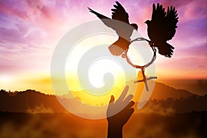 Silhouette of Two helping hand desire to two dove holding branch in Venus symbol shape flying on suset sky photo