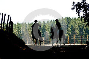 Silhouette of two men on horseback, going up a path photo