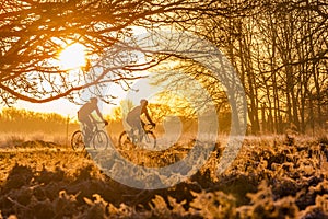 Silhouette of two men riding bicycles.