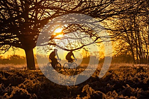 Silhouette of two men riding bicycles.