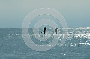 Silhouette of Two Paddle Boarders