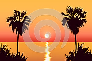 Silhouette of two palm trees on sunset or sunrise seaside scenery