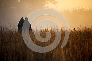 Silhouette of two travelers against fog landscape over a flower meadow, the first rays of dawn and dark silhouettes of trees