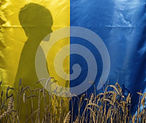 silhouette of an unrecognizable boy standing behind the national Ukrainian blue and yellow flag on a wheat field